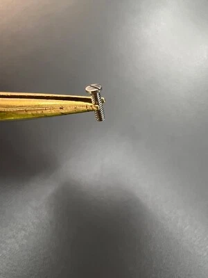 Original Bezel Screw For Cartier Santos 100 - Vite Della Lunetta MX001Z5D