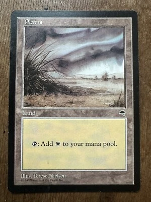 Plains (Shrub) Tempest NM MTG Magic The Gathering - Image 1 of 2