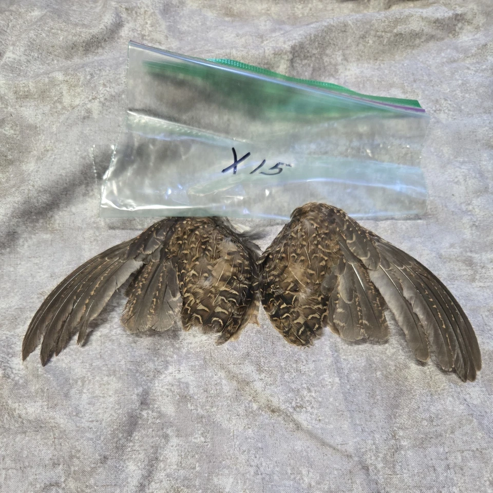 1 комплект перепелиных крыльев - x15 - Изображение 1 из 1