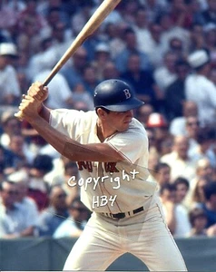 TONY CONIGLIARO Photo @ bat Fenway 1966 Boston Red Sox - Picture 1 of 1