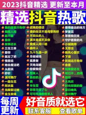 2023 new popular net new songs high quality lossless music flash drive - Image 1 of 4