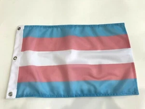 Transgender Pride Flag Rainbow Gay Lesbian LGBT 12 x18 Inch Polyester Flag43 - Picture 1 of 1