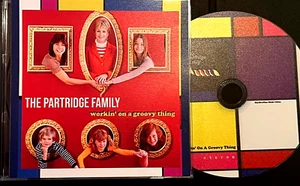 Partridge Family : Working On A Groovy Thing * David Cassidy CD * missing pieces - Picture 1 of 6