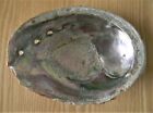 Vintage Abalone Sea Shell Approx 8 X 6 X 35 Deep Rainbow Mother Of Pearl