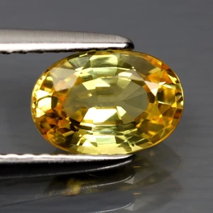Piedra preciosa de zafiro amarillo calentada ovalada intermitente de 1,35 quilates (7,80 x 5,38 mm) - Imagen 1 de 3