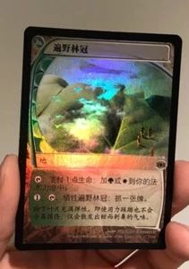 Magic the Gathering FOIL Horizon Canopy FUTURE SIGHT Simplified Chinese NM MTG - Picture 1 of 10