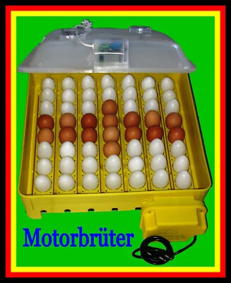 BOROTTO 106) Inkubator/Brutkasten/Brutmaschine/Brutapparat/Incubator/Incubadora/Couveuse