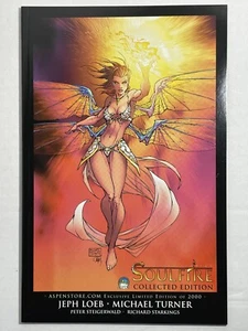 Michael Turner’s Soulfire Collected Edition Limited to 2000 Copies - Picture 1 of 6