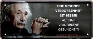 ''Una sana corruzione (Einstein) (scritta bianca)'' Targa in latta 28x12 cm - Foto 1 di 4