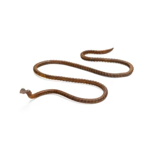Snake Rust Metal 40x23cm Outdoor Animal Ornament Patio Yard Garden Home Decor - Picture 1 of 2