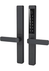 Smart Sliding Door Lock Aluminum Alloy Waterproof Fingerprint Lock TTLock App - Picture 1 of 5
