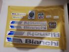 Kit adesivi compatibili Bianchi Lario Silver Metallic