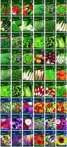 Garden Treasures Herb Fruit Vegetable Flowers Seeds Grow Your Own Indoor Outdoor - Picture 1 of 67