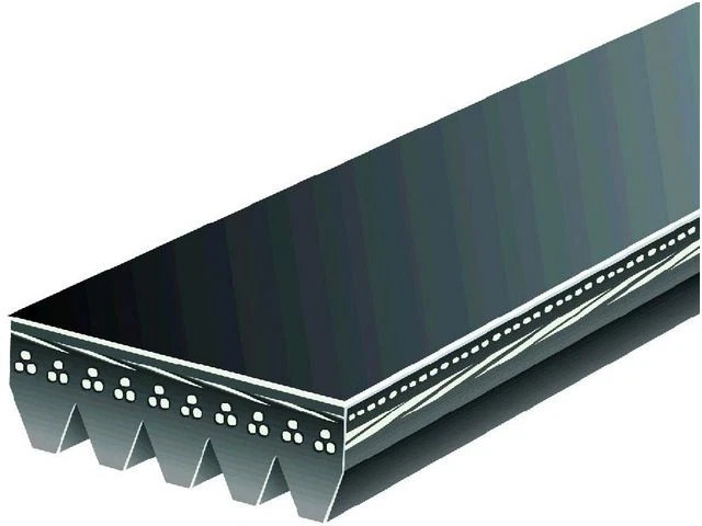 Cinturón multi costilla para Saturn L200 2001-2003 2,2 L 4 cilindros GAS 2002 XN729FW Foto 1 de 1