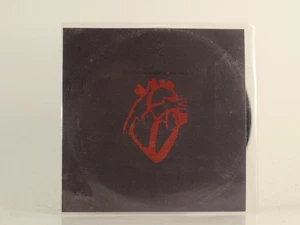 THE CHAPMAN FAMILY ALL FALL (H1) 1 Track Promo CD Single also Picture Sleeve PIA - Picture 1 of 7