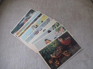 Vintage Post Card Set Wildlife Series Unused 1-15 - Picture 1 of 13