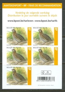Belgium, Full pane of the new Official Registered mail stamp - Picture 1 of 1