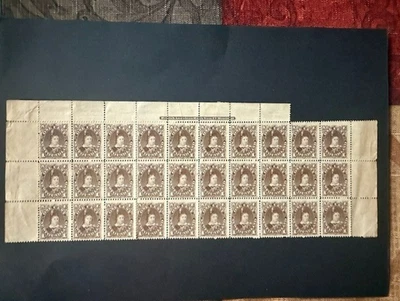 1880 Newfoundland 1p Brown SG 44 in Marginal Block of 30 Unused No Gum - Image 1 of 2