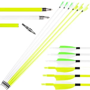 30" Carbon Arrows Archery 3" Turkey Feather SP500 Arrowhead Bow Shooting Hunting - Picture 1 of 17