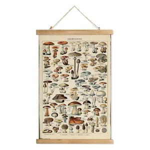 Vintage Mushroom Poster Fungus Wall Art for Living Room Office Classroom - Picture 1 of 8