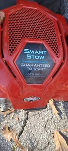 briggs & stratton Shroud With Recoil GTS 150cc - Picture 1 of 3