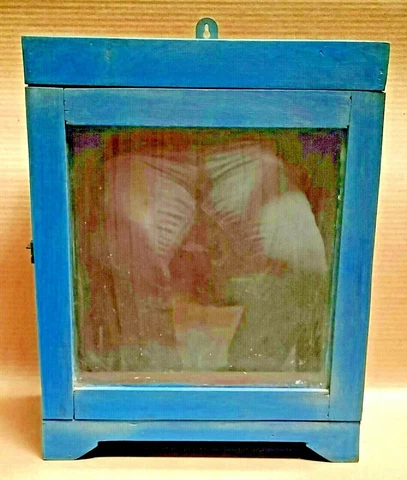 Wood Cabinet Restored Curio Display showcase scraped color solid back shabbychic Cover