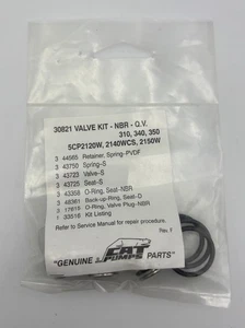 CAT Pumps 30821 Valve Kit For Models 310, 340, 350, 5CP Genuine OEM Parts - Picture 1 of 2