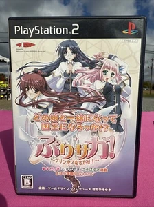 Purisaga Find the Princess PlayStation2 Japón Ver. Vendedor de Estados Unidos - Imagen 1 de 5