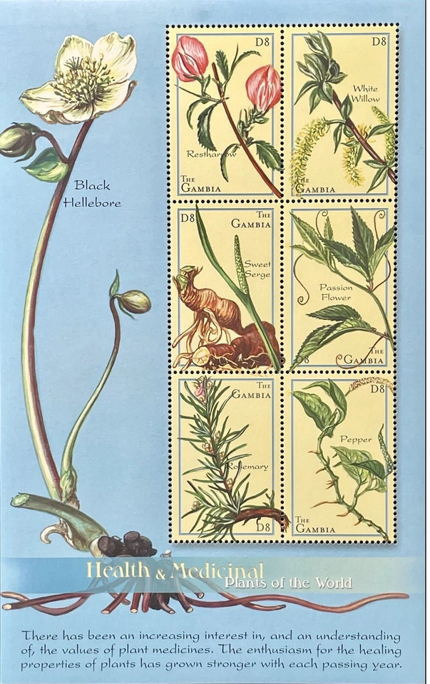 GAMBIA HEALTH & MEDICINAL PLANTS OF THE WORLD  STAMPS 2001 MNH ROSEMARY PEPPER - Image 1 of 1