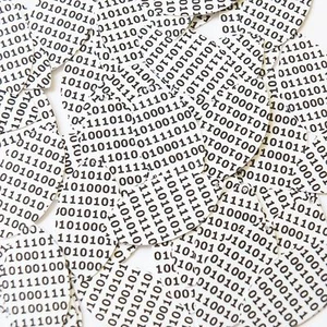 Sequin Navette Leaf 1.5" Black White Binary Tech Code Print Out Opaque - Picture 1 of 1