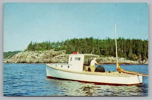 Postcard Lobsterman on the Coast of Maine Posted 1977 Pin Pals WNAC TV - Picture 1 of 2