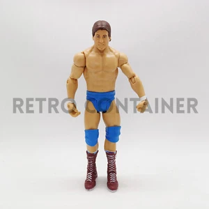 WWF WWE Wrestling Vintage Figure Jakks Pacific Mattel - Roddy Piper - Imagen 1 de 1