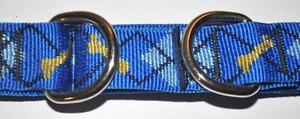 NEU Lupine Pet Dapper Hund 1"" Combo Halsband 15""-22"" verstellbar blau mit Knochen SÜSS - Bild 1 von 9