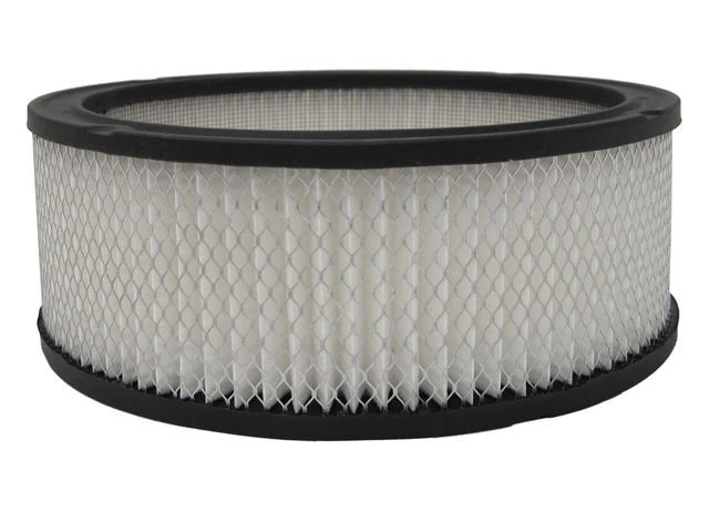 Filtro de aire AC Delco para Oldsmobile Cutlass Salon 1979-1980, 1985-1987 96XZNM Foto 1 de 1