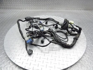 2001 01-05 Honda GL1800 Goldwing OEM cableado delantero arnés telar cables - Imagen 1 de 24