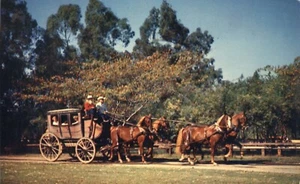 Knotts Berry Farm Stage Coach Ghost Town California Postcard - Picture 1 of 2