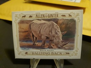 2021 Topps Allen & Ginter #RB-7 WHITE RHINO Rallying Back ENDANGERED INSERT CARD