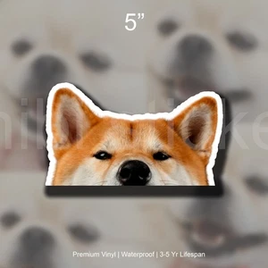 Red Shiba Inu Japanese Realistic Dog Peeker Sticker Vinyl Waterproof - Picture 1 of 2