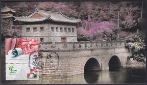 ISRAEL 2010 #10065.6 SPECIAL CANCEL - CHINA FRIENDSHIP DAY at EXHIBIT - Picture 1 of 1