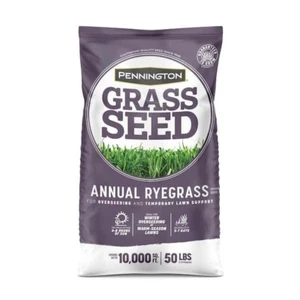 50 lb. Annual Ryegrass Seed – Covers 10,000 sq. ft., Fast-Growing Lawn - Picture 1 of 11