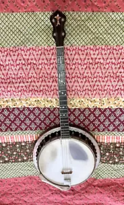 Four String Tenor Banjo and Case, Play Jazz Band Music Folk Group Party-Time Fun - Picture 1 of 5