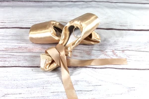 DoGeek Ballet Dance Shoes Pink Satin Pointe Suede Shoes Dancewear Size 39 NEW - Picture 1 of 5