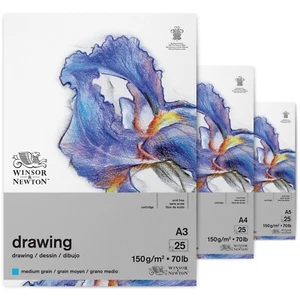 Winsor&Newton Carta da Disegno per Matite Matita Colorata Pastello Carboncino - Foto 1 di 5