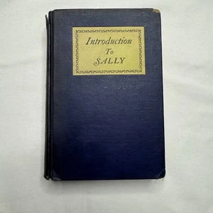 1st Ed. Introduction To Sally By Elizabeth Von Arnim First Edition 1926 USA Book - Foto 1 di 8