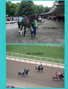 2 Giacomo 2005 Belmont Stakes Horse Racing 8" by 10" Photos #2 - Picture 1 of 1