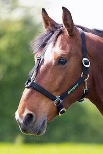 GREENGUARD MUZZLE HEADCOLLAR For Use With Greenguard Grazing Muzzle - Picture 1 of 3