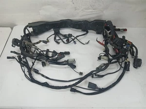 Harley-Davidson 2014 Electra Glide Main Wiring Harness ABS 69200118 - Picture 1 of 24