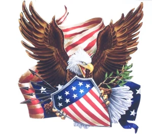 Calcomanías calcomanías adhesivas ventana con escudo y flecha con escudo y águila bandera americana - Imagen 1 de 2