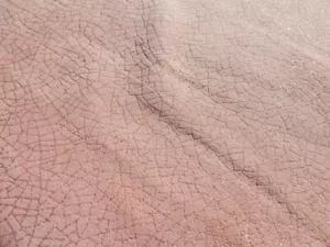 lambskin leather Suede hide Silver Glitter Crackle Texture Print on Salmon - Picture 1 of 6