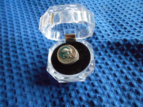 PHILADELPHIA EAGLES   PEWTER HAND PAINTED SCULPTURED RING SIZE  9  VINTAGE Cover